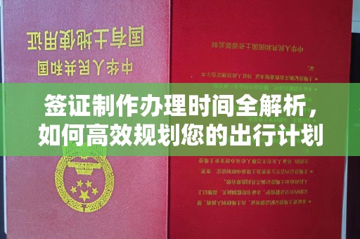 龙泉签证制作办理时间全解析，如何高效规划您的出行计划