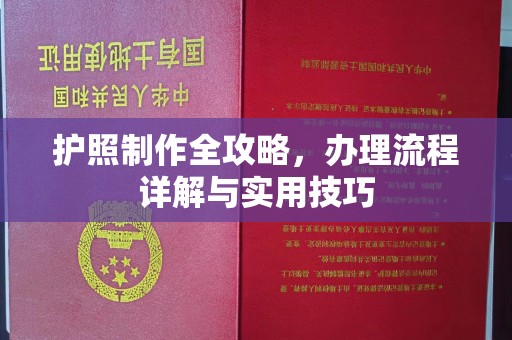 龙泉护照制作全攻略，办理流程详解与实用技巧