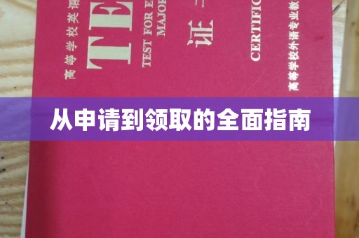 龙泉从申请到领取的全面指南