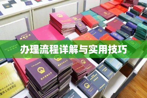 龙泉办理流程详解与实用技巧