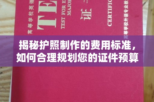 龙泉揭秘护照制作的费用标准，如何合理规划您的证件预算