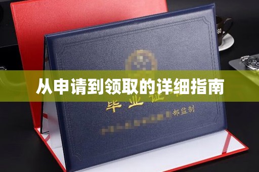 龙泉从申请到领取的详细指南