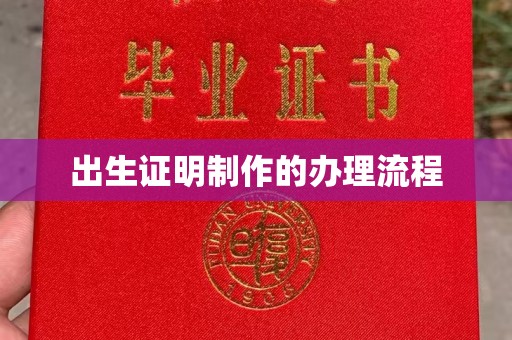 龙泉出生证明制作的办理流程
