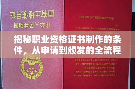 龙泉揭秘职业资格证书制作的条件，从申请到颁发的全流程解析