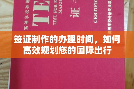 龙泉签证制作的办理时间，如何高效规划您的国际出行