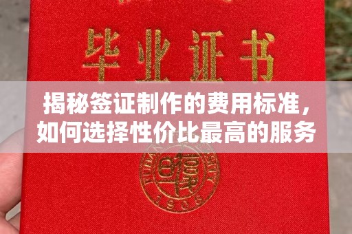 龙泉揭秘签证制作的费用标准，如何选择性价比最高的服务？
