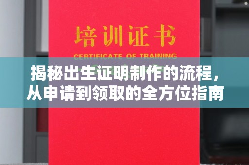 龙泉揭秘出生证明制作的流程，从申请到领取的全方位指南