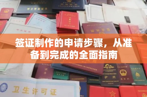 龙泉签证制作的申请步骤，从准备到完成的全面指南