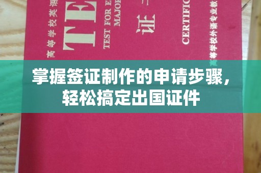 龙泉掌握签证制作的申请步骤，轻松搞定出国证件