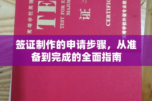 龙泉签证制作的申请步骤，从准备到完成的全面指南