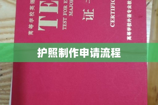龙泉护照制作申请流程