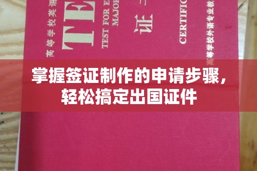 龙泉掌握签证制作的申请步骤，轻松搞定出国证件