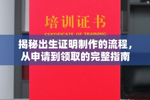 龙泉揭秘出生证明制作的流程，从申请到领取的完整指南
