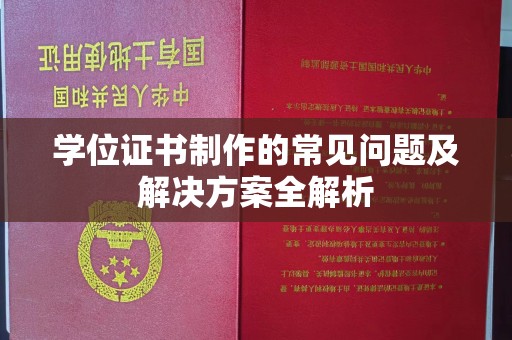 龙泉学位证书制作的常见问题及解决方案全解析
