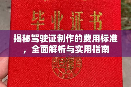 龙泉揭秘驾驶证制作的费用标准，全面解析与实用指南