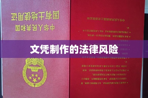 龙泉文凭制作的法律风险