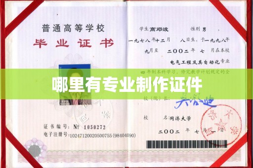 龙泉哪里有专业制作证件