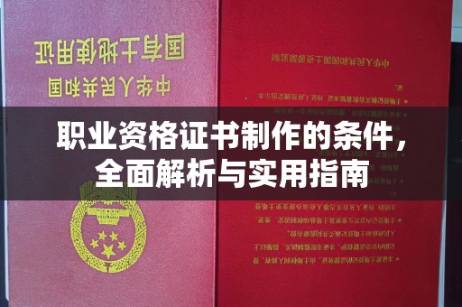 龙泉职业资格证书制作的条件，全面解析与实用指南