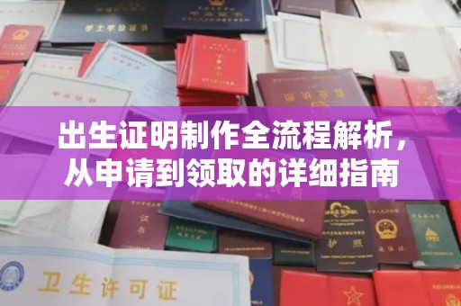 龙泉出生证明制作全流程解析，从申请到领取的详细指南