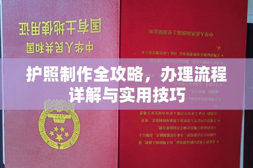 龙泉护照制作全攻略，办理流程详解与实用技巧