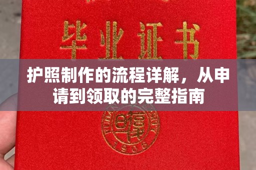 龙泉护照制作的流程详解，从申请到领取的完整指南