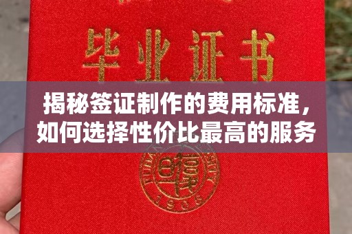 龙泉揭秘签证制作的费用标准，如何选择性价比最高的服务？