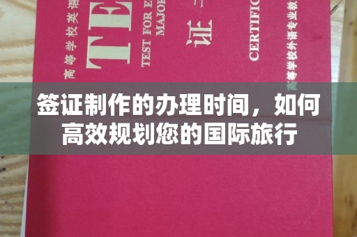 龙泉签证制作的办理时间，如何高效规划您的国际旅行